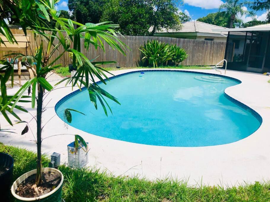 Paradise Hideaway Entire Guest Home Near Beach Clearwater Exteriér fotografie