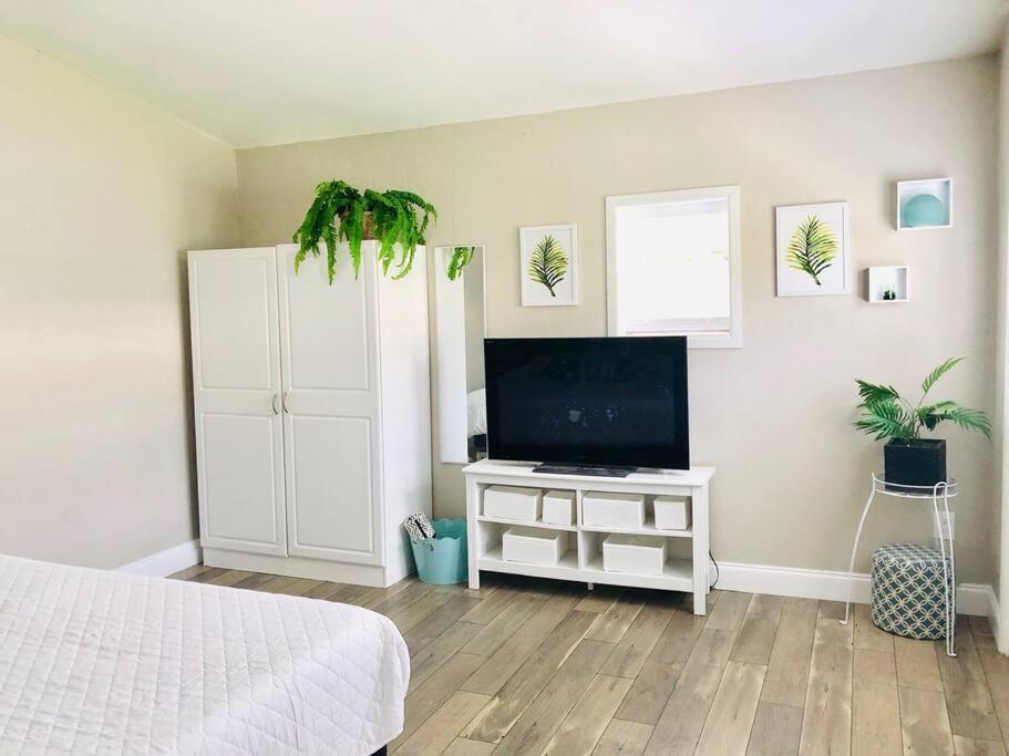 Paradise Hideaway Entire Guest Home Near Beach Clearwater Exteriér fotografie